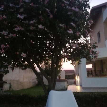 锡拉库扎La Casa Delle Farfalle住宿加早餐旅馆 外观 照片